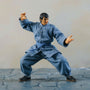 street fighter 2 fei long merchandise hero image